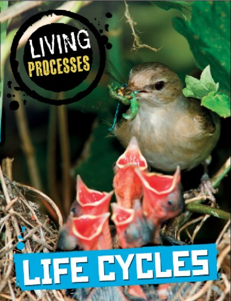 Living Processes: Life Cycles