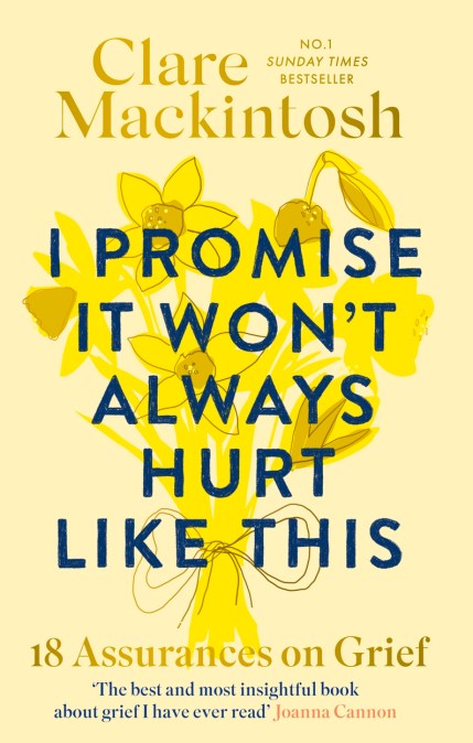 I Promise It Won’t Always Hurt Like This