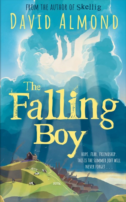 The New Famous Five: The Falling Boy