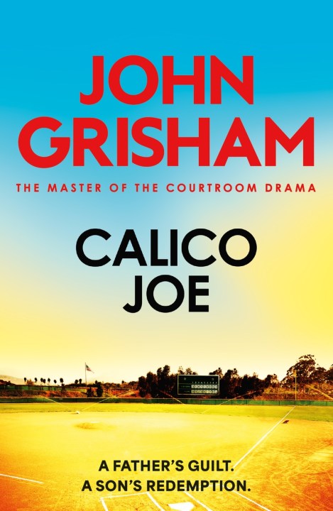 Calico Joe