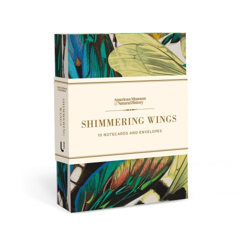Shimmering Wings