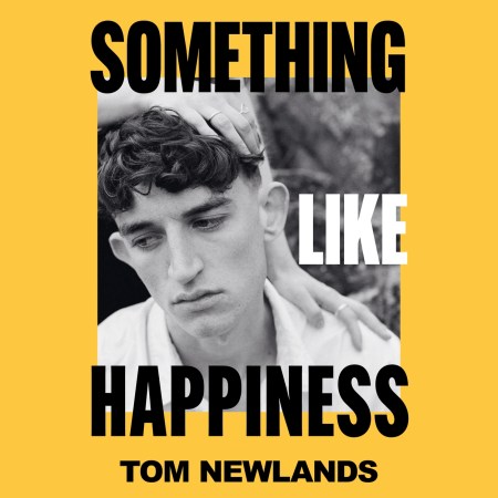 Something Like Happiness