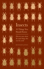 Insects