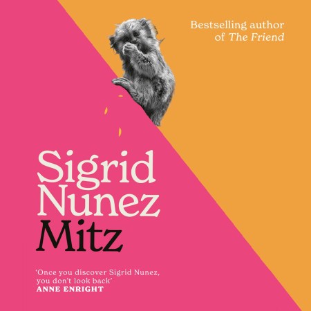 Mitz