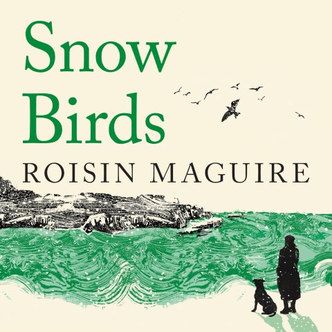 Snow Birds